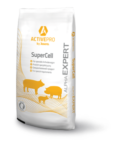 Super Cell