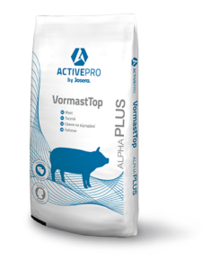 VormastTop